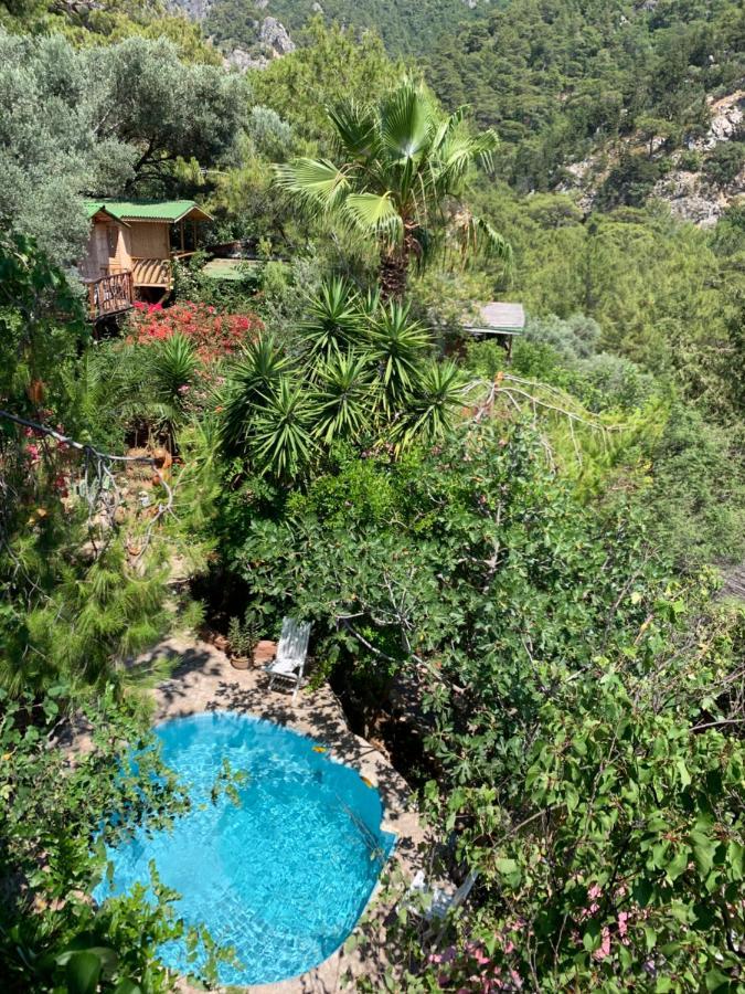 Village de vacances Turan Hill Lounge